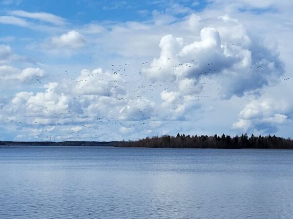 Keskustele kesällä, juttele jussina!
